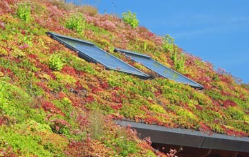 Newton By Toft living roof systems