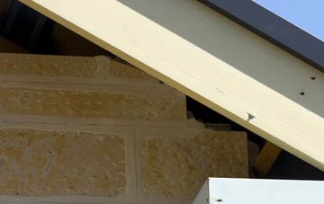 soffit repair Newton By Toft