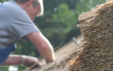 professional Newton By Toft thatchers