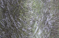 Newton By Toft fibreglass roof work